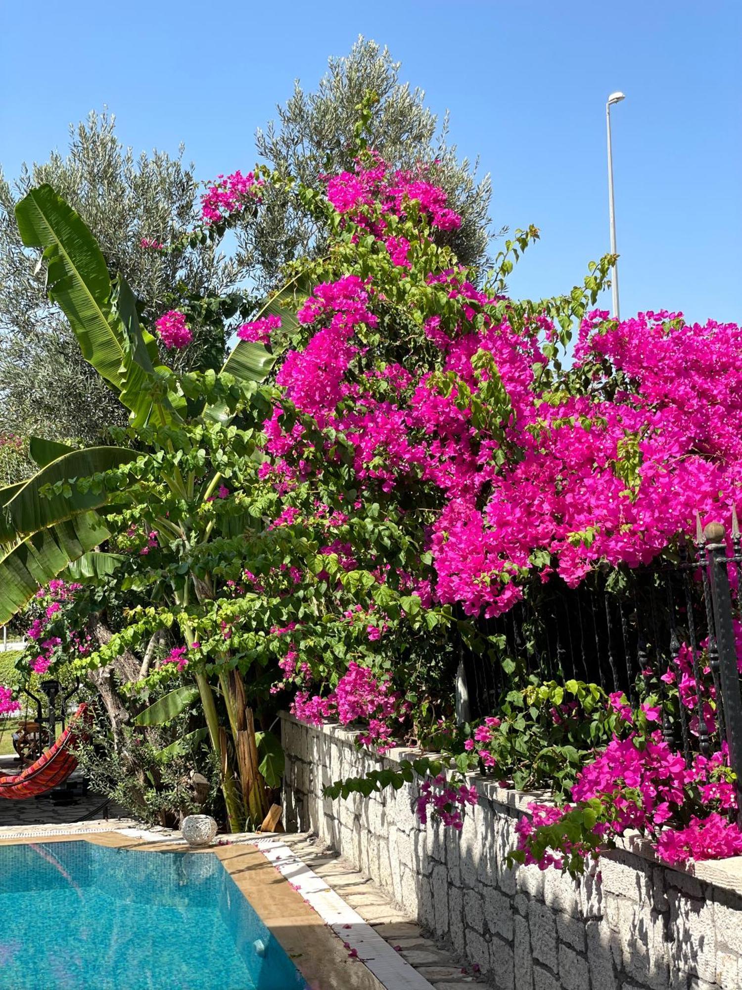 Ata Boutique Hotel Cesme Exterior foto