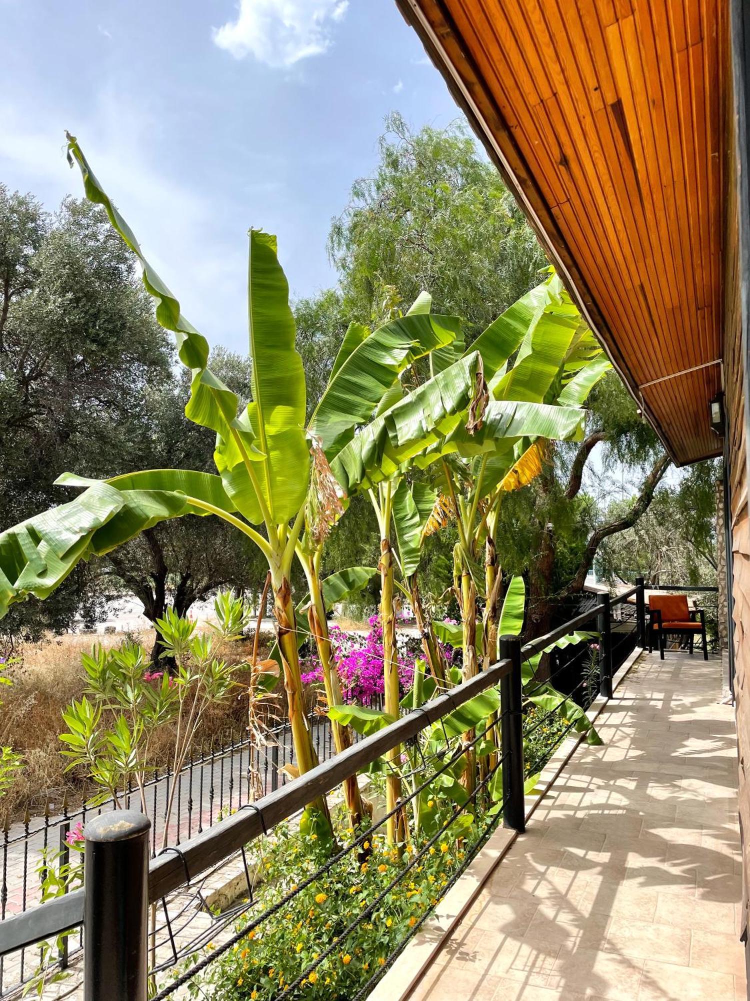 Ata Boutique Hotel Cesme Exterior foto